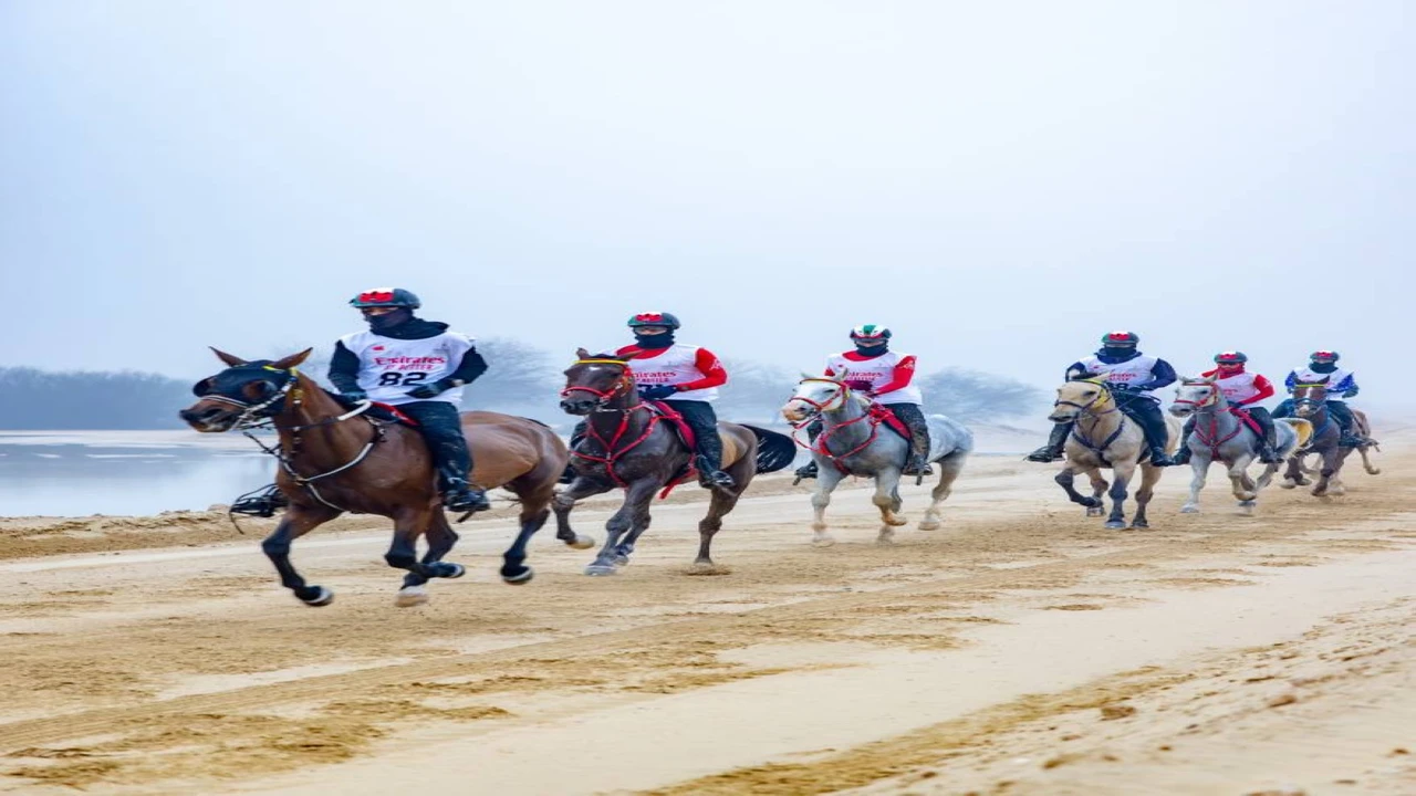 كأس اليمامة يرفع وتيرة التنافس في مهرجان ولي عهد دبي للقدرة